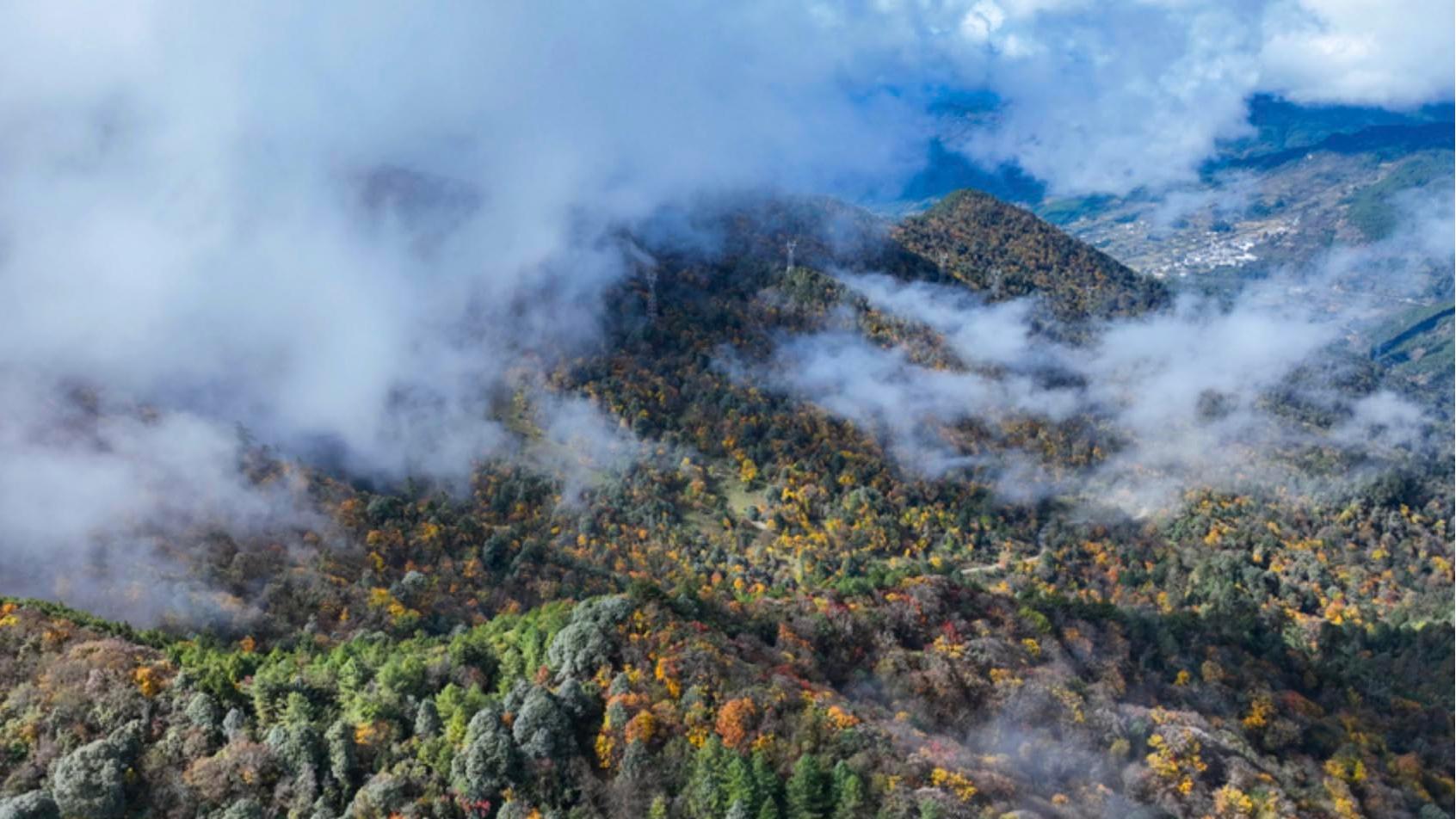 Dali's hills present colorful early-winter views