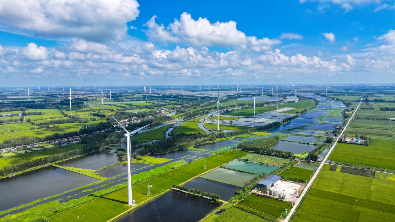 China trusted force in global climate governance – People’s Daily