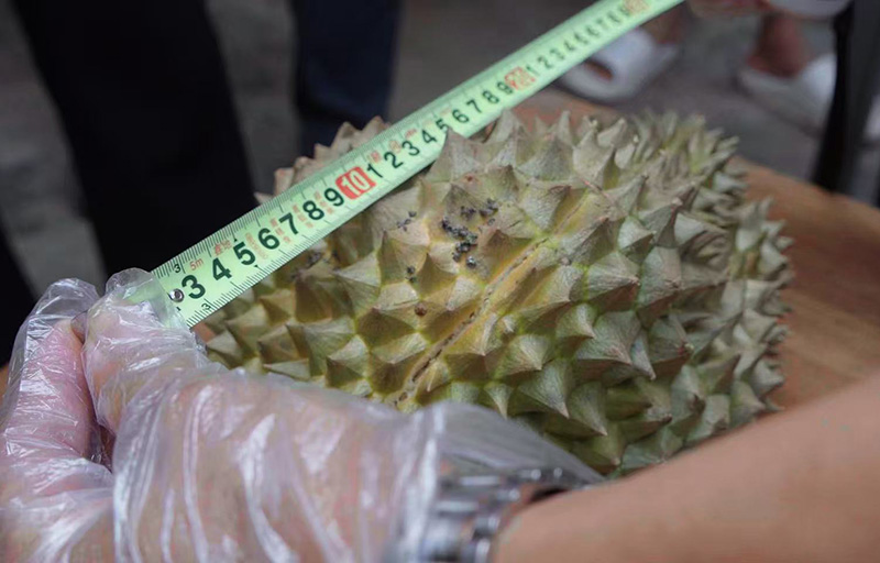 Xishuangbanna in SW China's Yunnan builds distinctive modern agricultural system