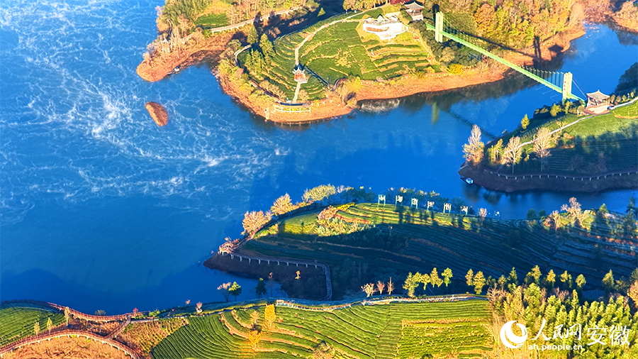 Breathtaking views of tea-themed park shrouded in morning mist in E China's Anhui