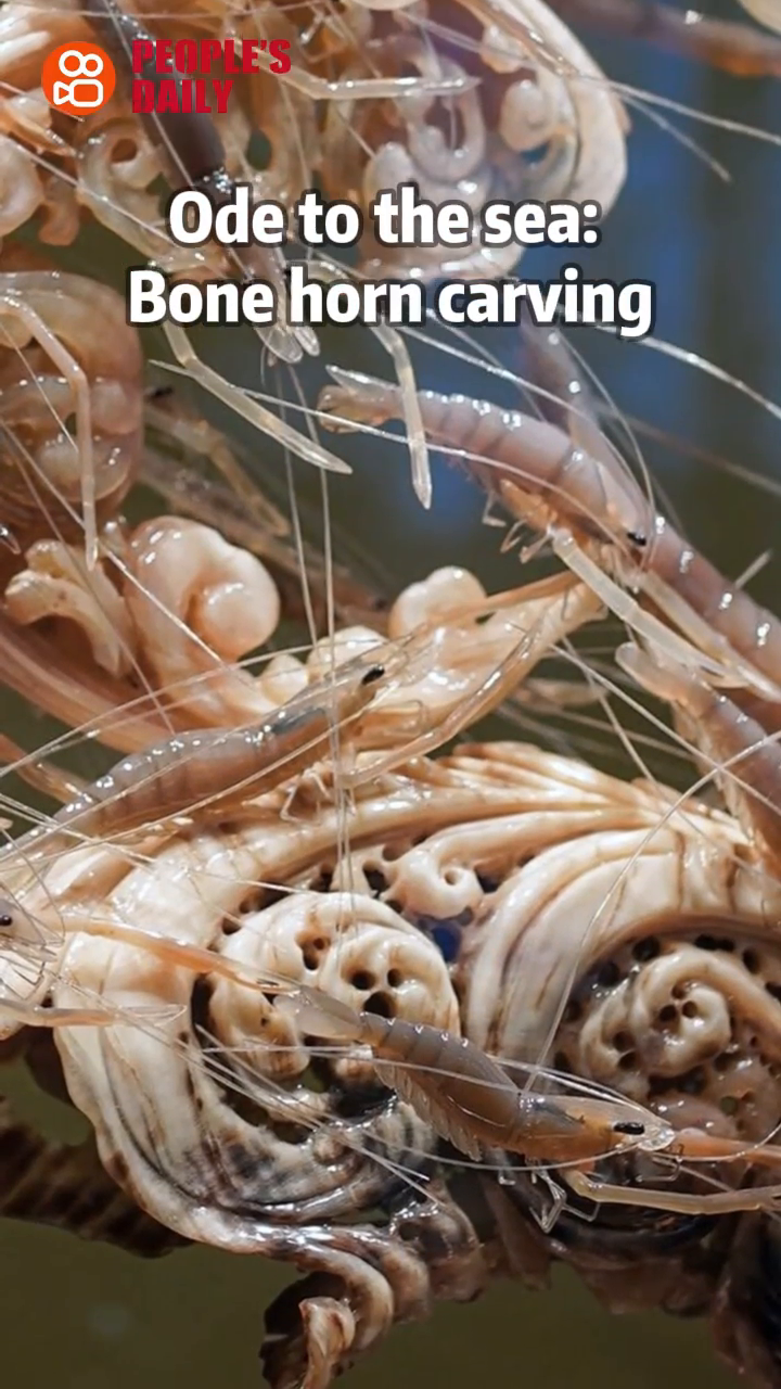 Trending in China | Ode to the sea: Bone horn carving