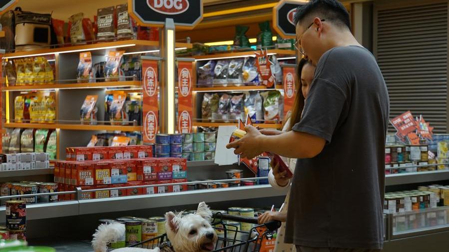 China emerges as world's fastest-growing pet market with 30.4 pct jump in related jobs