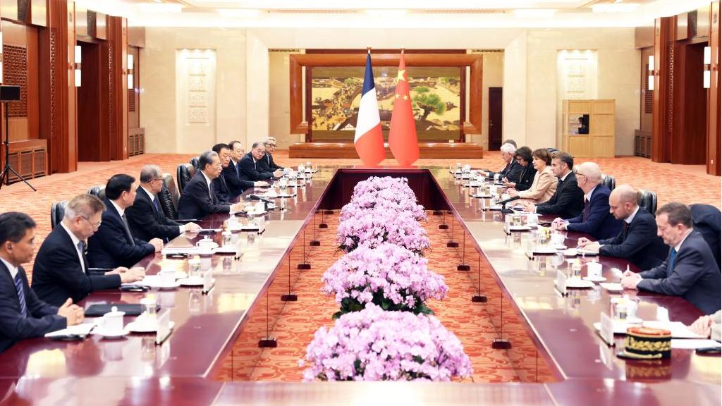 China's top legislator meets with French president