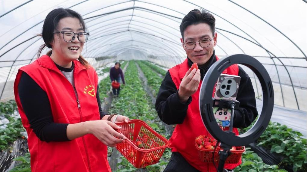 Heping Town in China's Zhejiang strives to develop rural tourism industry