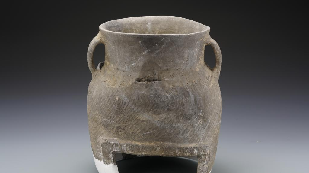 Prehistoric grain storage pits discovered in northwest China