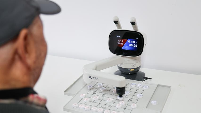 Eldercare robots tackle challenges of aging population