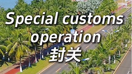 Quick take: Understanding island-wide special customs operations at Hainan Free Trade Port in 100 seconds