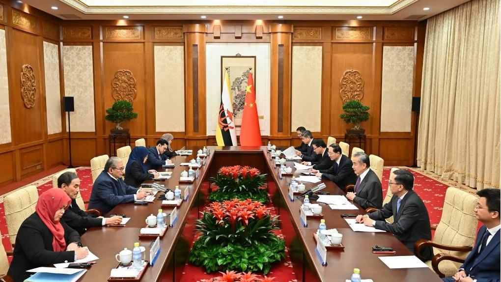 China to work with ASEAN to align development strategies, resist unilateral bullying: Chinese FM