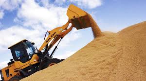 China's grain output tops 714 mln tonnes in 2025