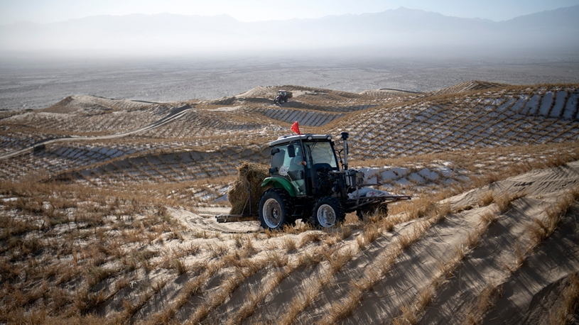 Desert control project underway in Aksay, China's Gansu