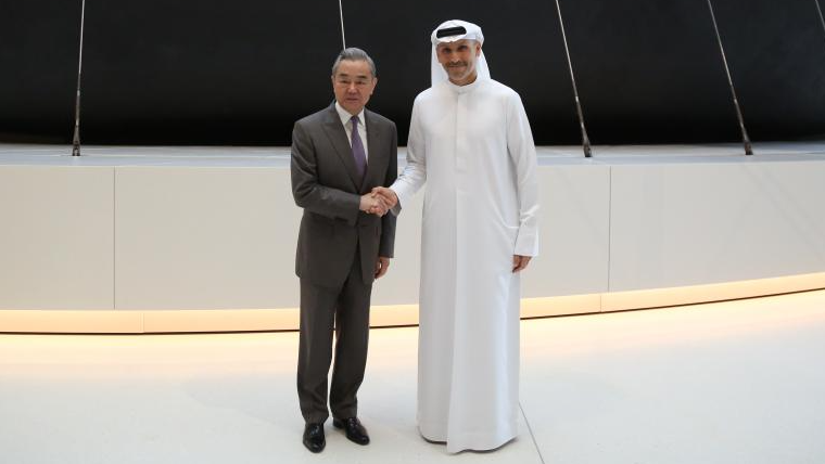 China to enhance strategic mutual trust, advance cooperation with UAE: FM