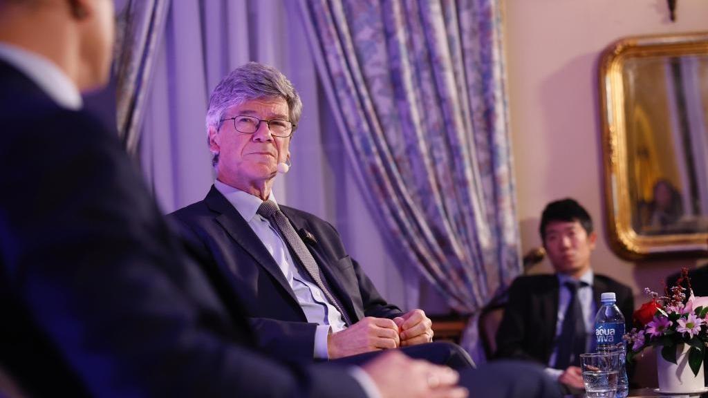 China's development should be welcomed, not feared: U.S. scholar