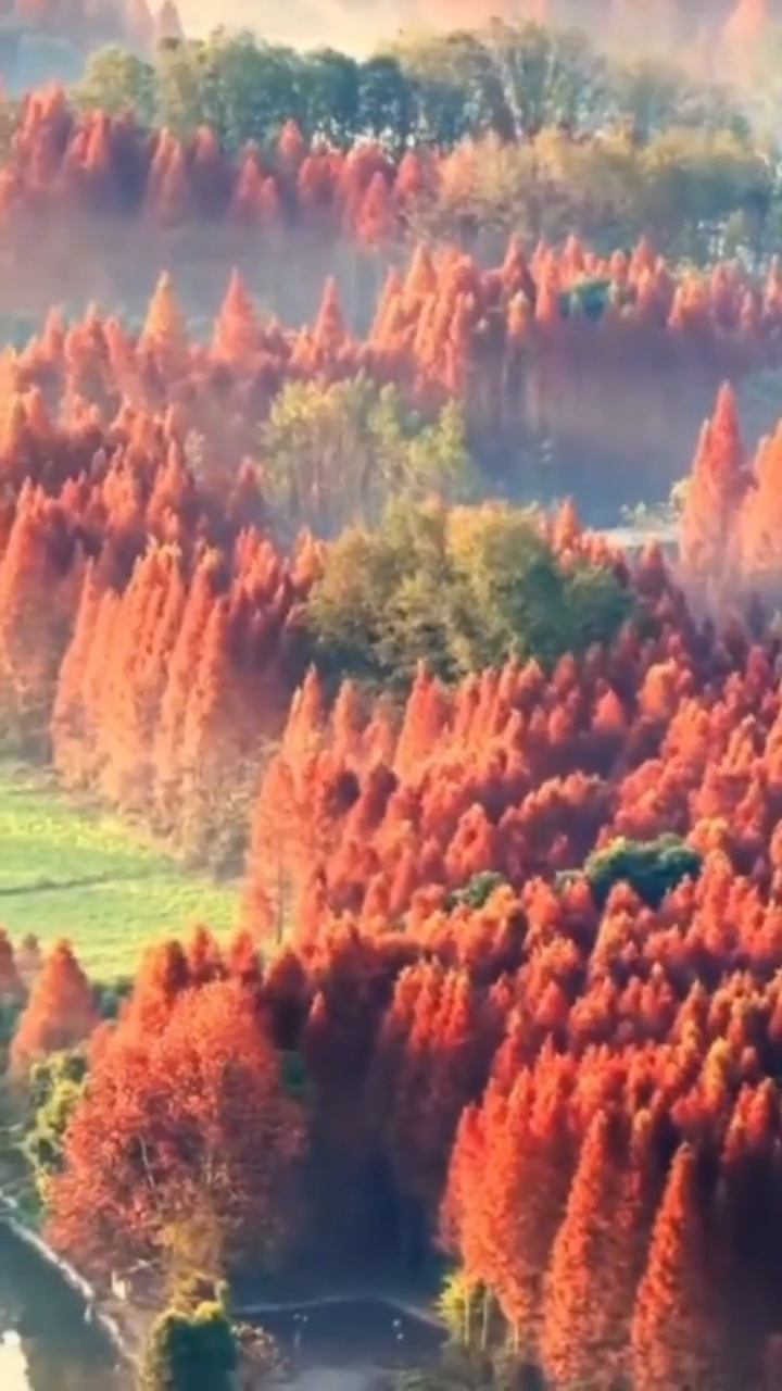 Dujiangyan in the morning light