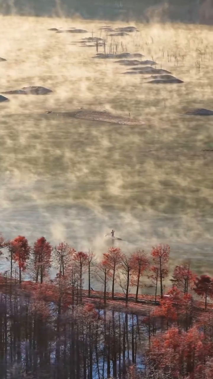 Crimson splendor: the bald cypress forests of southern Anhui