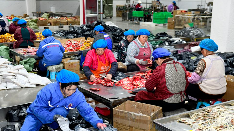Yang'an County in China's Shandong promotes development of condiment industry