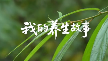 Rural longevity: nature and tradition as life's elixir