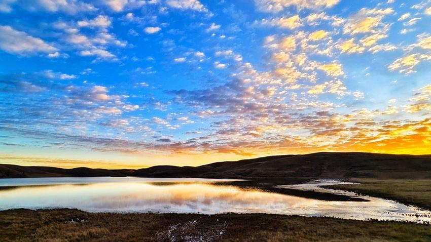 Harmony between humans and nature unfolds at black-necked crane reserve in SW China's Yunnan