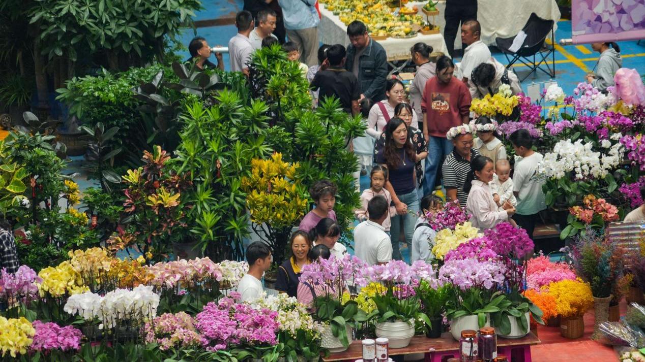 Yunnan builds modern floriculture industry to drive rural prosperity