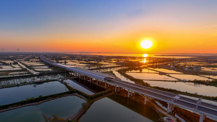 Bridge over Yangtze River sets up enclosed noise barrier to protect birds