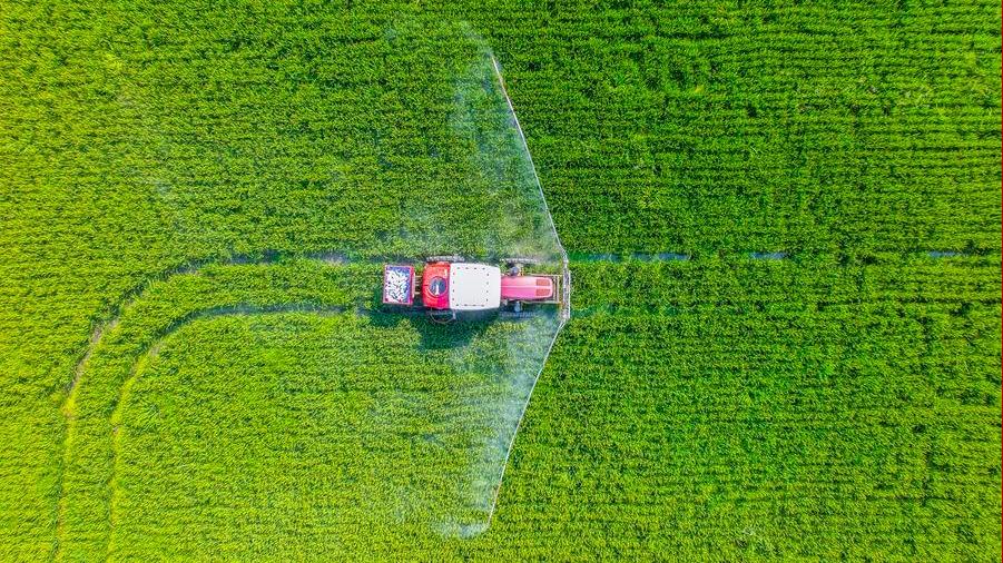 Tech-driven rural revitalization takes roots across China