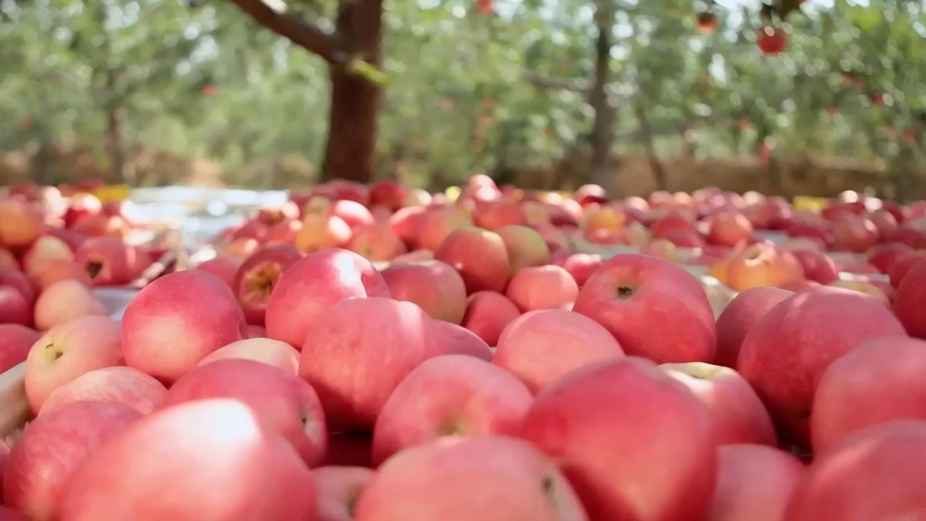 Apple fragrance from China
