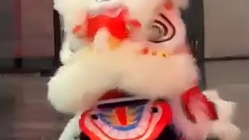 Baby robot lion dancers light up Beijing