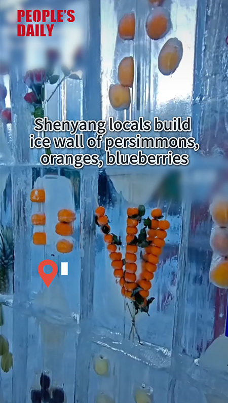 Shenyang locals build ice wall of persimmons, oranges, blueberries