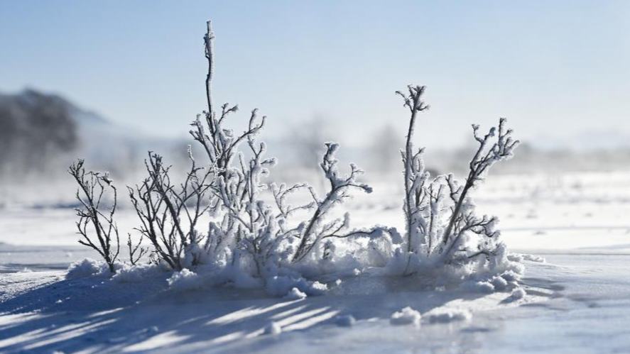 Rime scenery in Qilian County of Haibei Tibetan Autonomous Prefecture, NW China's Qinghai