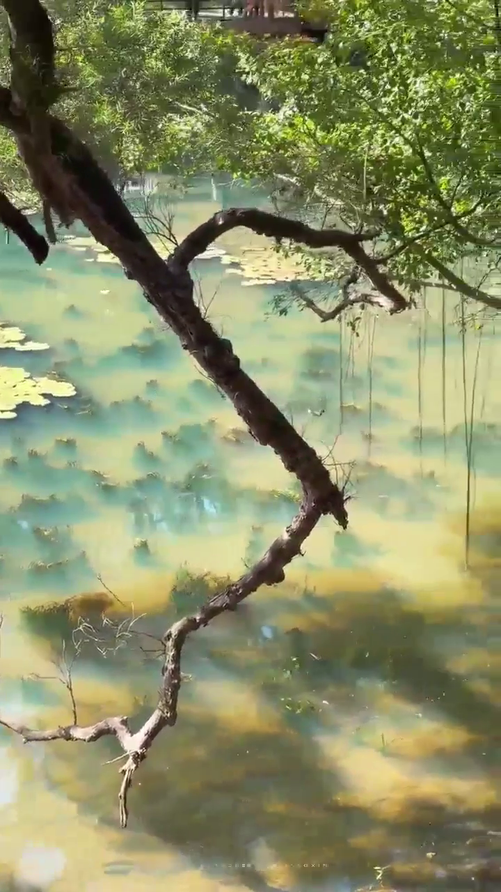 An ink-wash scene at Luhu Park