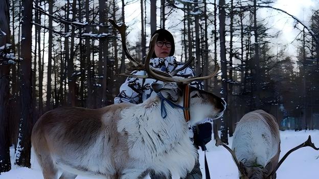 Reindeer keeper preserves Ewenki traditions alive in N China's Inner Mongolia