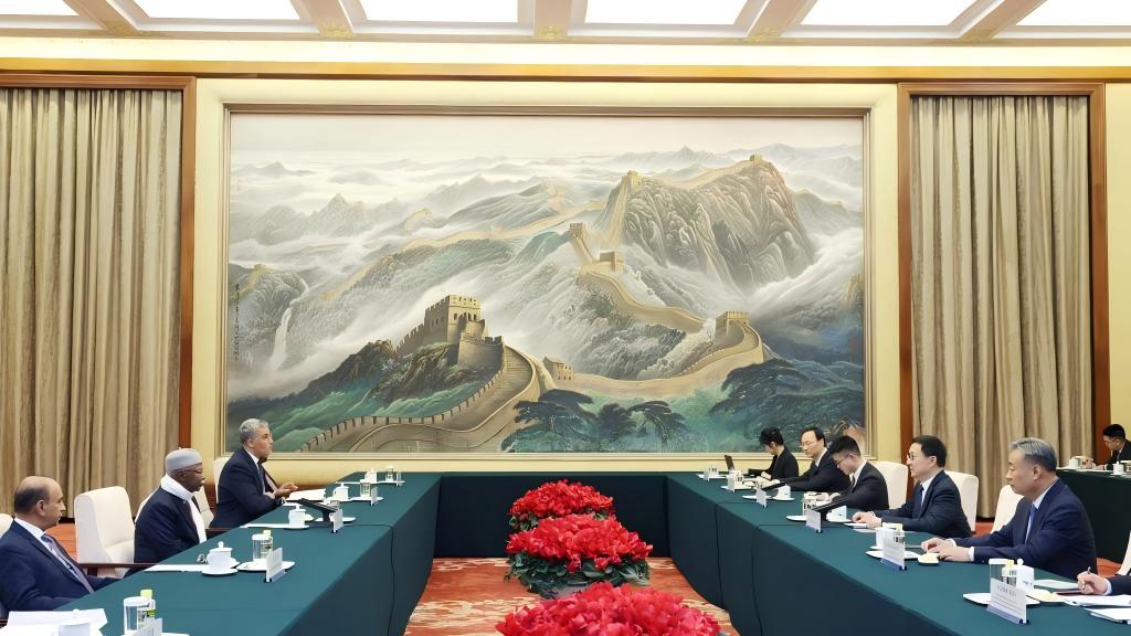 Chinese VP meets OIC secretary-general