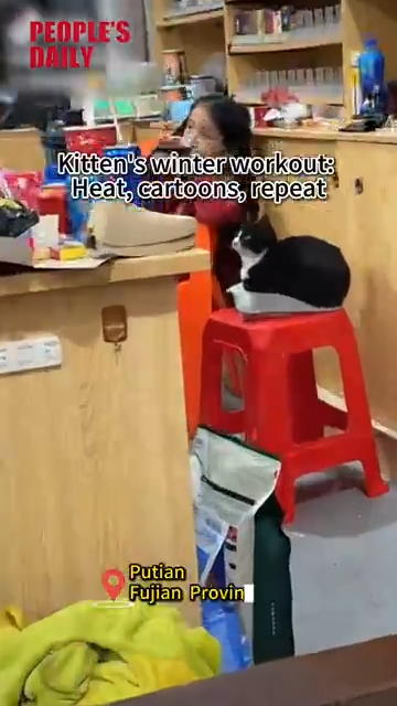 Kitten's winter workout: Heat, cartoons, repeat