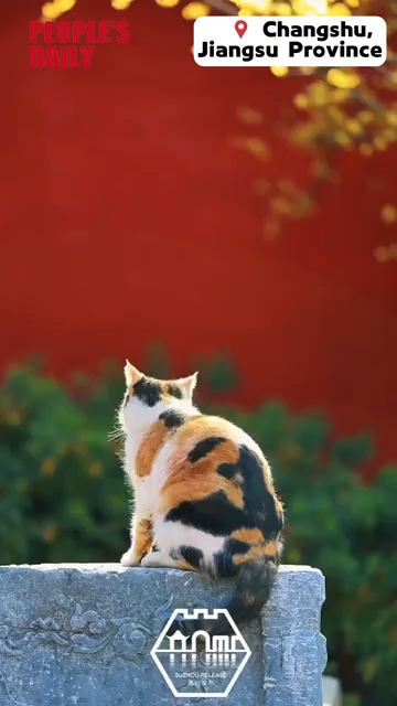 Traditional charm in Changshu's winter gardens