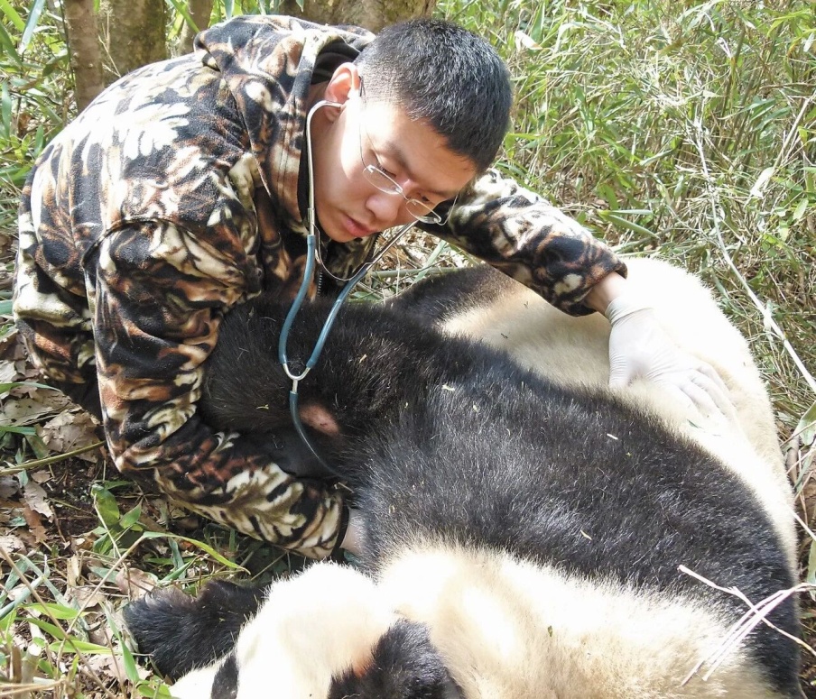 5767060e1700853898a2c3e3c96179ed