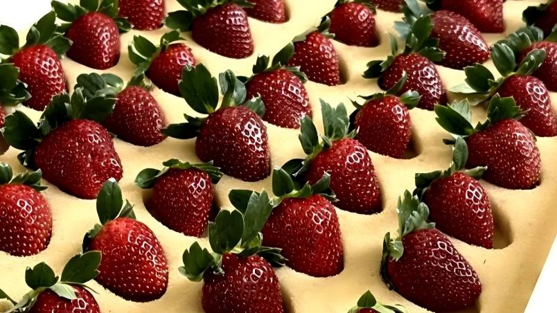 'Black strawberries' selling for 600 yuan per kg spark buzz in China