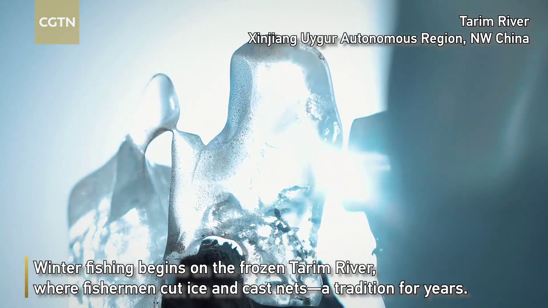 Xinjiang's Tarim River enters winter fishing season