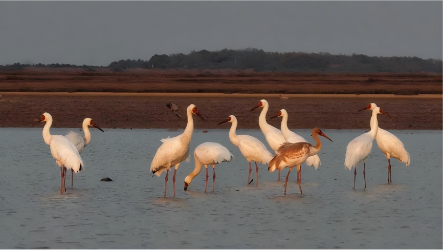 Guarding China's largest freshwater lake from a wheelchair