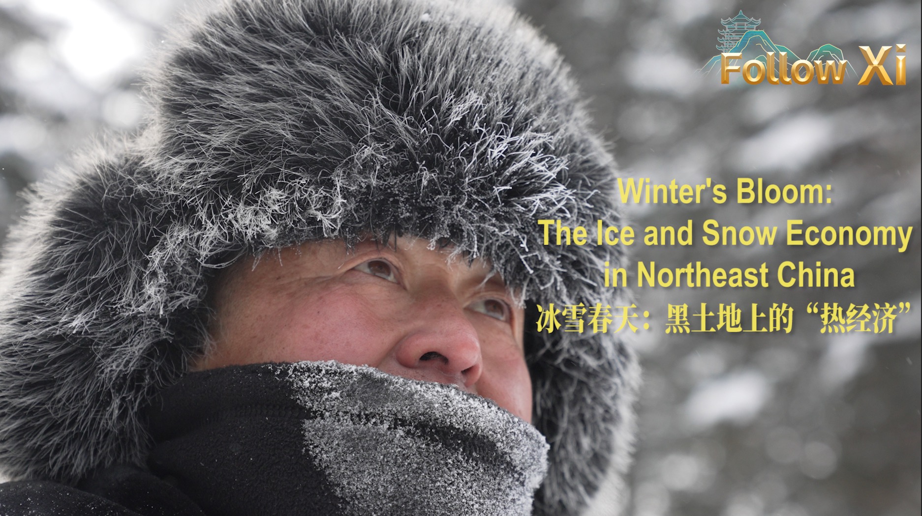 Winter's bloom: A thriving 'hot economy' on the black soil