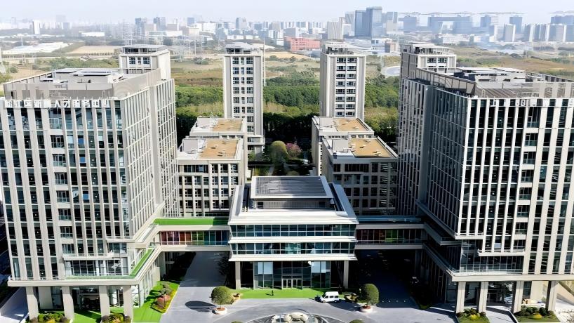 Shanghai's 6G hub: Where innovation takes shape for future