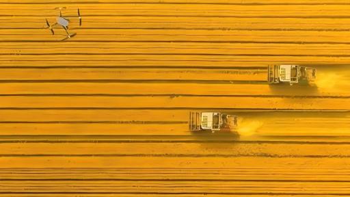China's grain boom