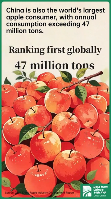 A sweet global share: China's apple industry in numbers