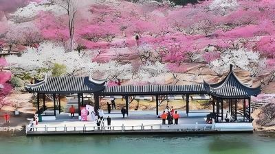 China's Spring Festival consumption boom signals strong economic momentum