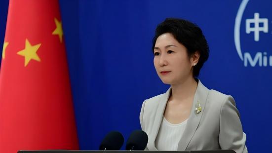 China will ensure its cyber security with all measures necessary: Chinese FM