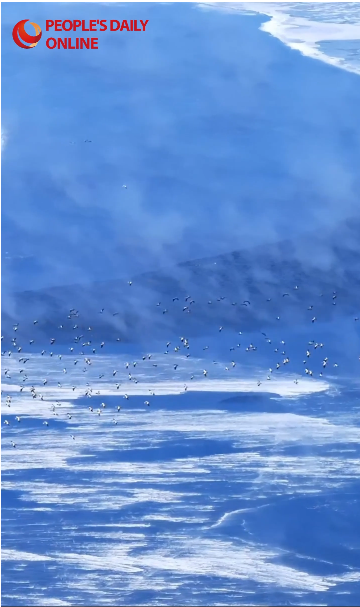 Ice melts, magic awakens at Wuliangsu Lake in north China