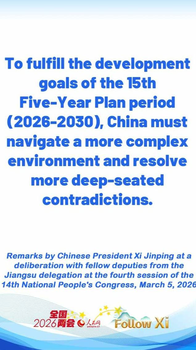 Infographics: Xi underlines key role of major provincial economies