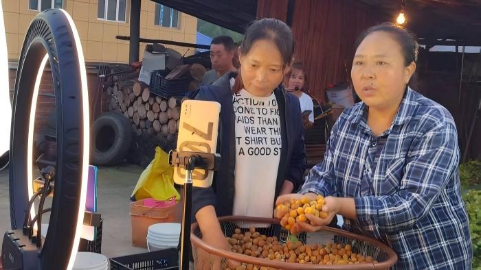 NPC deputy leads village's transformation in Heilongjiang