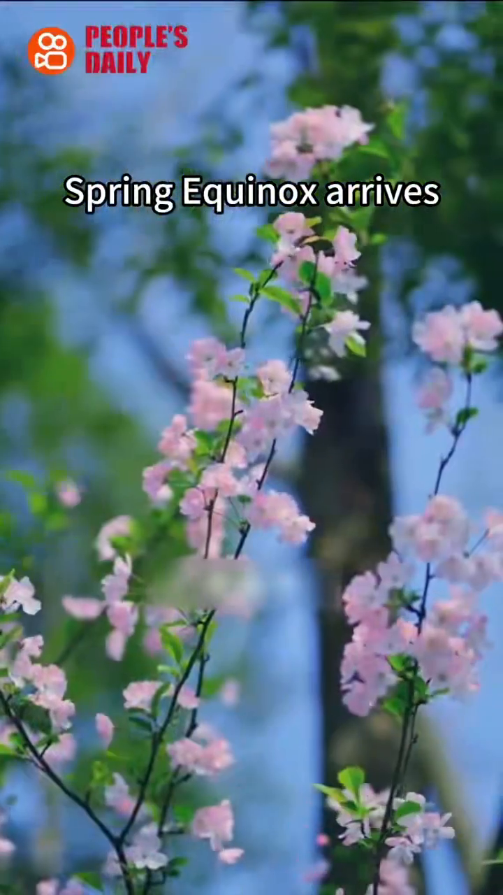 Trending in China | Spring Equinox arrives