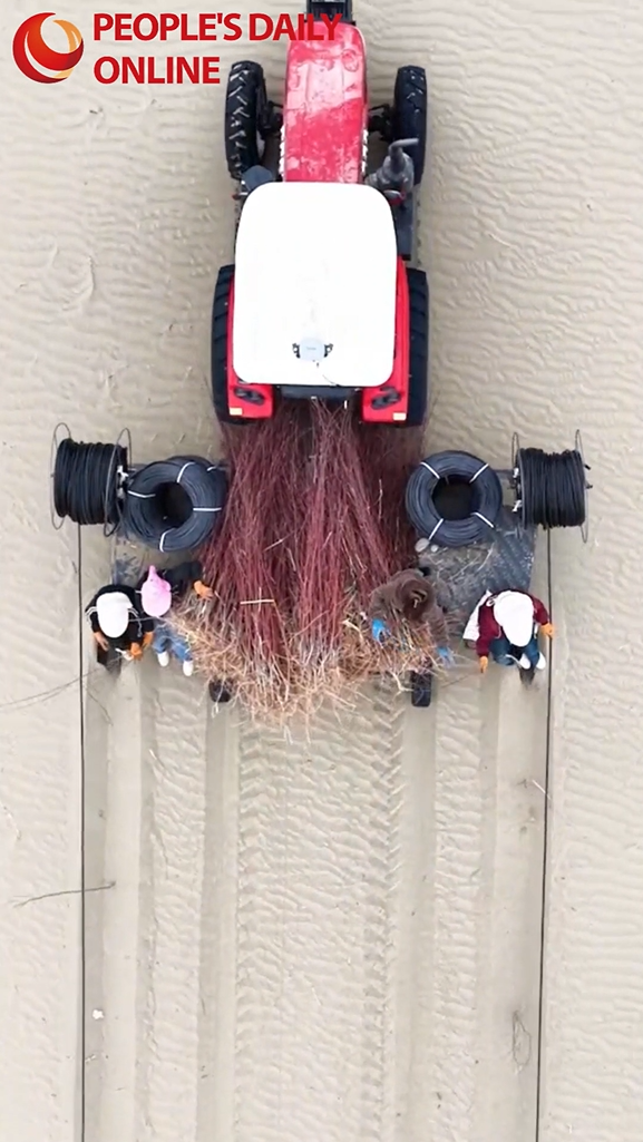 5 seconds, 1 tree: Greening the Taklimakan Desert with Chinese tech