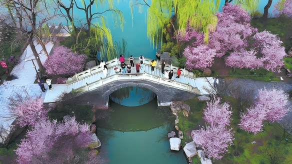 Tourism soars as flower-chasing season