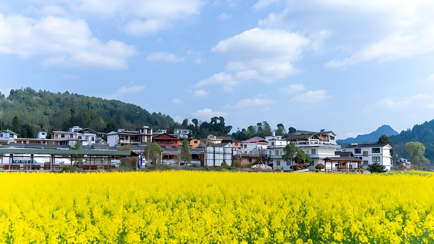 Spring blooms draw visitors to Xinpu Bouyei ethnic township in SW China's Guizhou